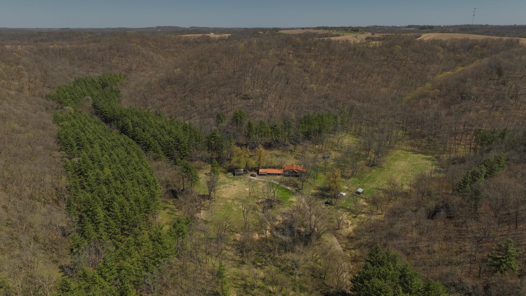 17658 Forest Muscoda, WI 53573 - Photo 3 of 50