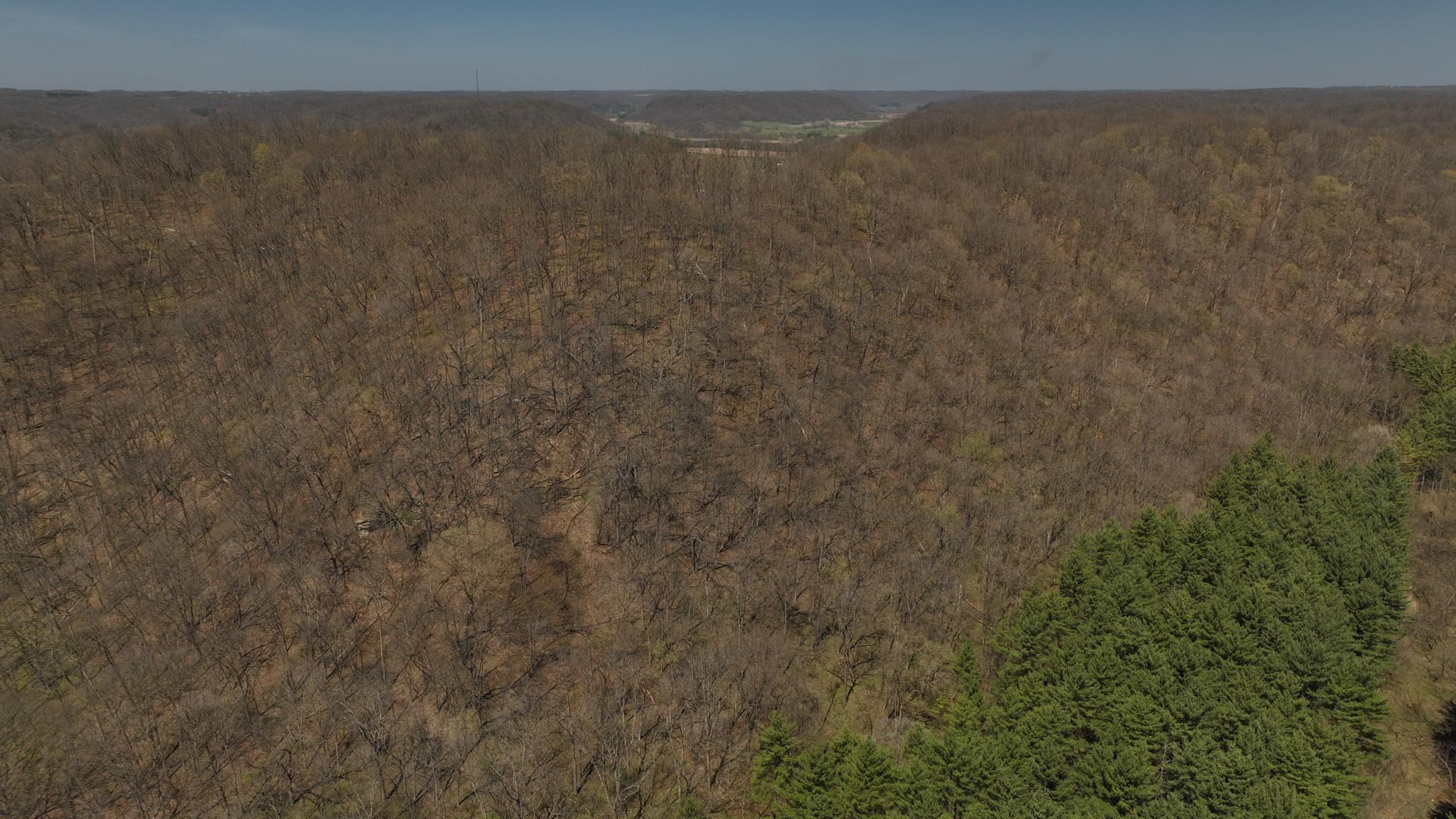 17658 Forest Muscoda, WI 53573 - Photo 31 of 50