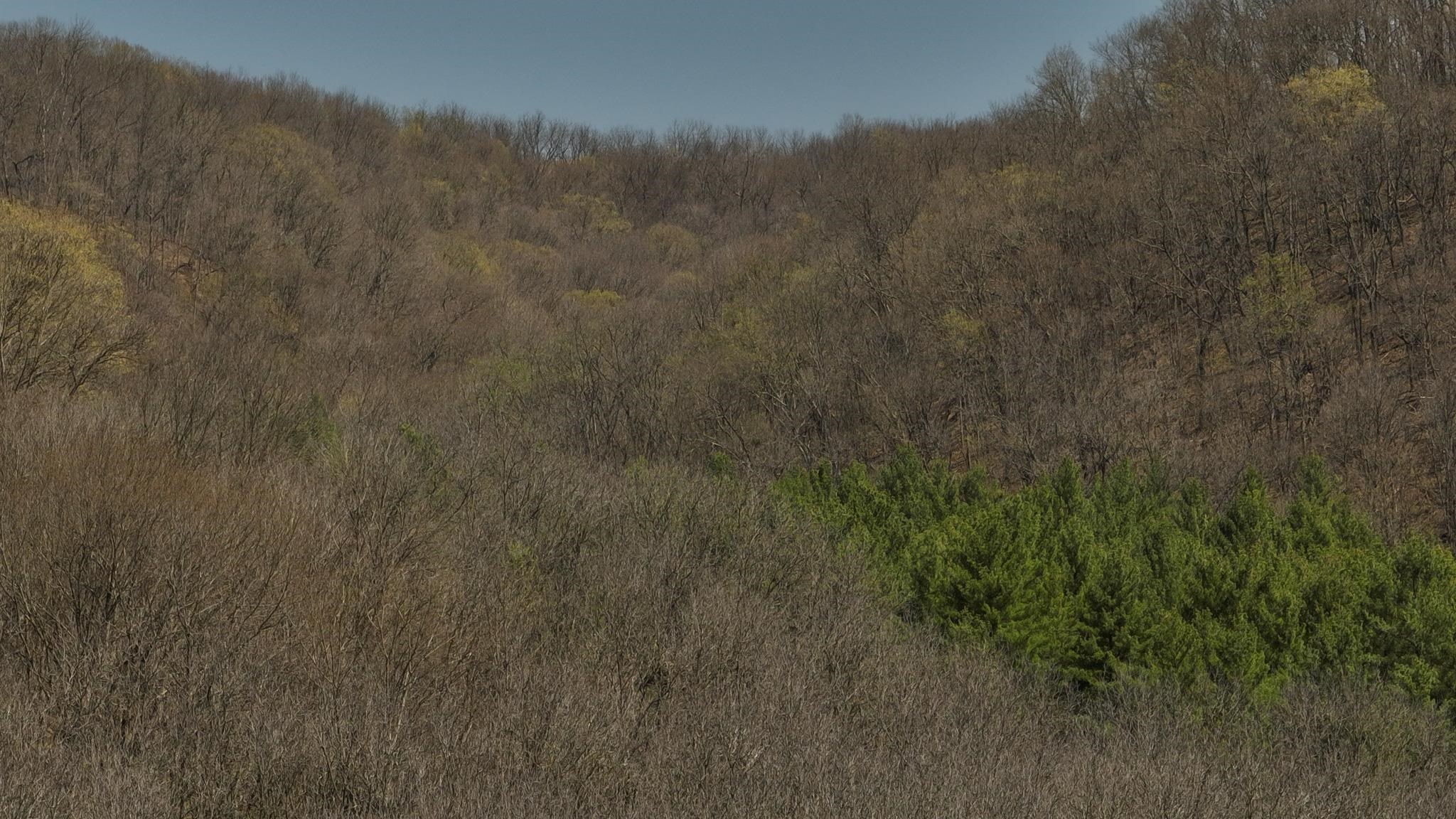 17658 Forest Muscoda, WI 53573 - Photo 32 of 50