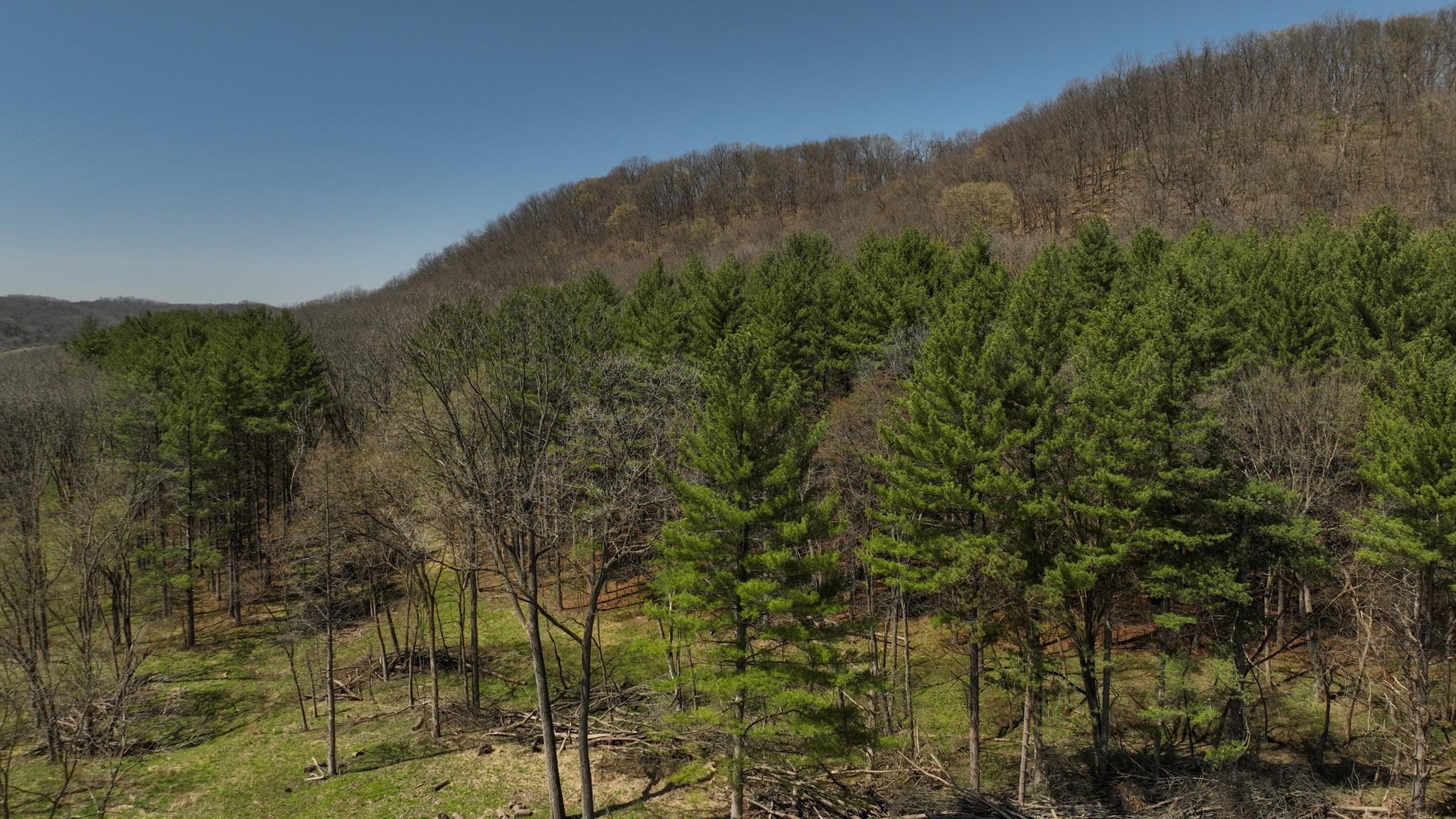 17658 Forest Muscoda, WI 53573 - Photo 33 of 50