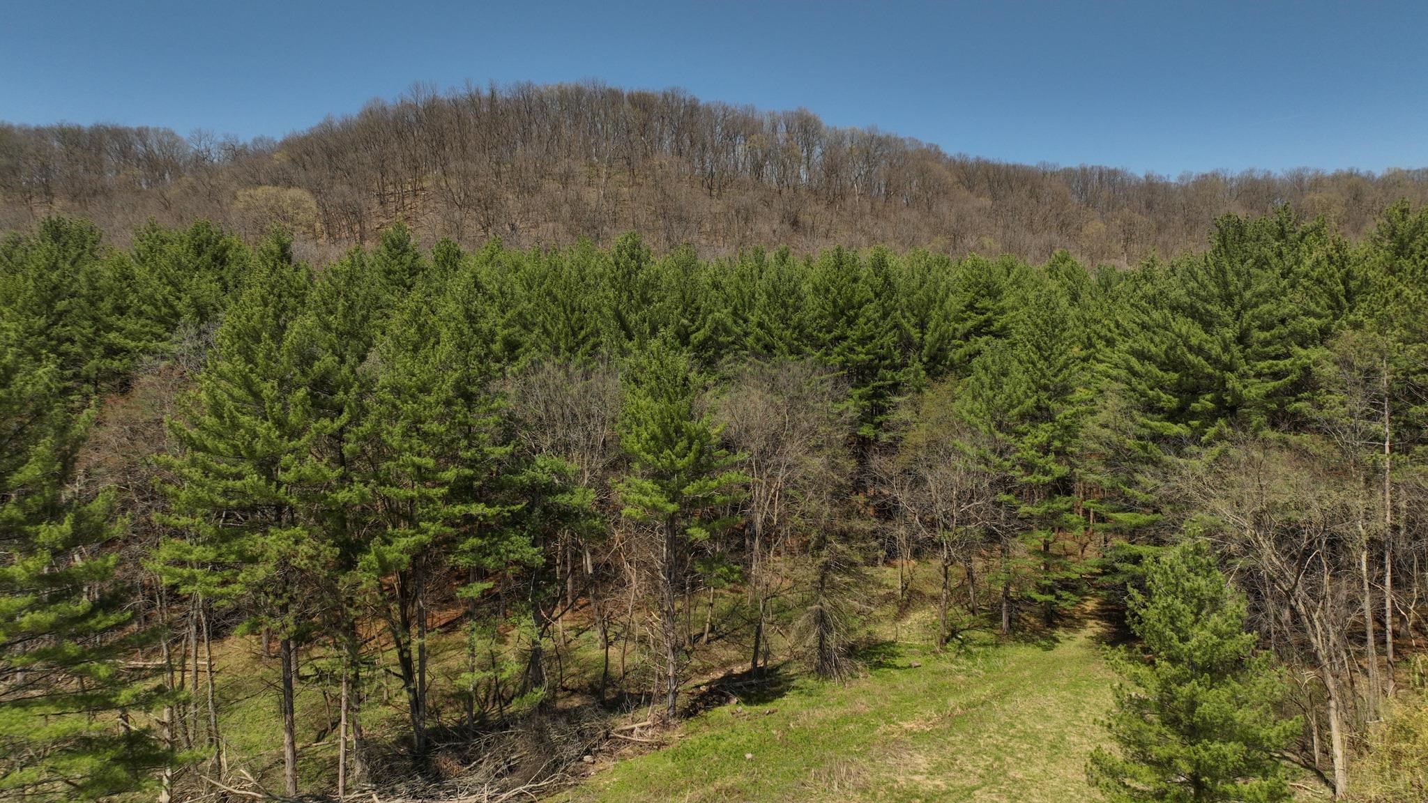 17658 Forest Muscoda, WI 53573 - Photo 34 of 50