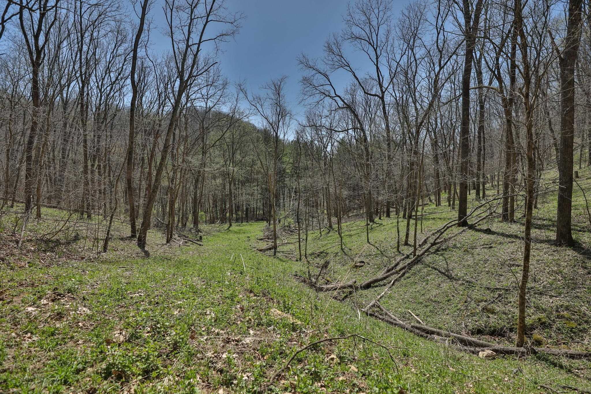 17658 Forest Muscoda, WI 53573 - Photo 39 of 50