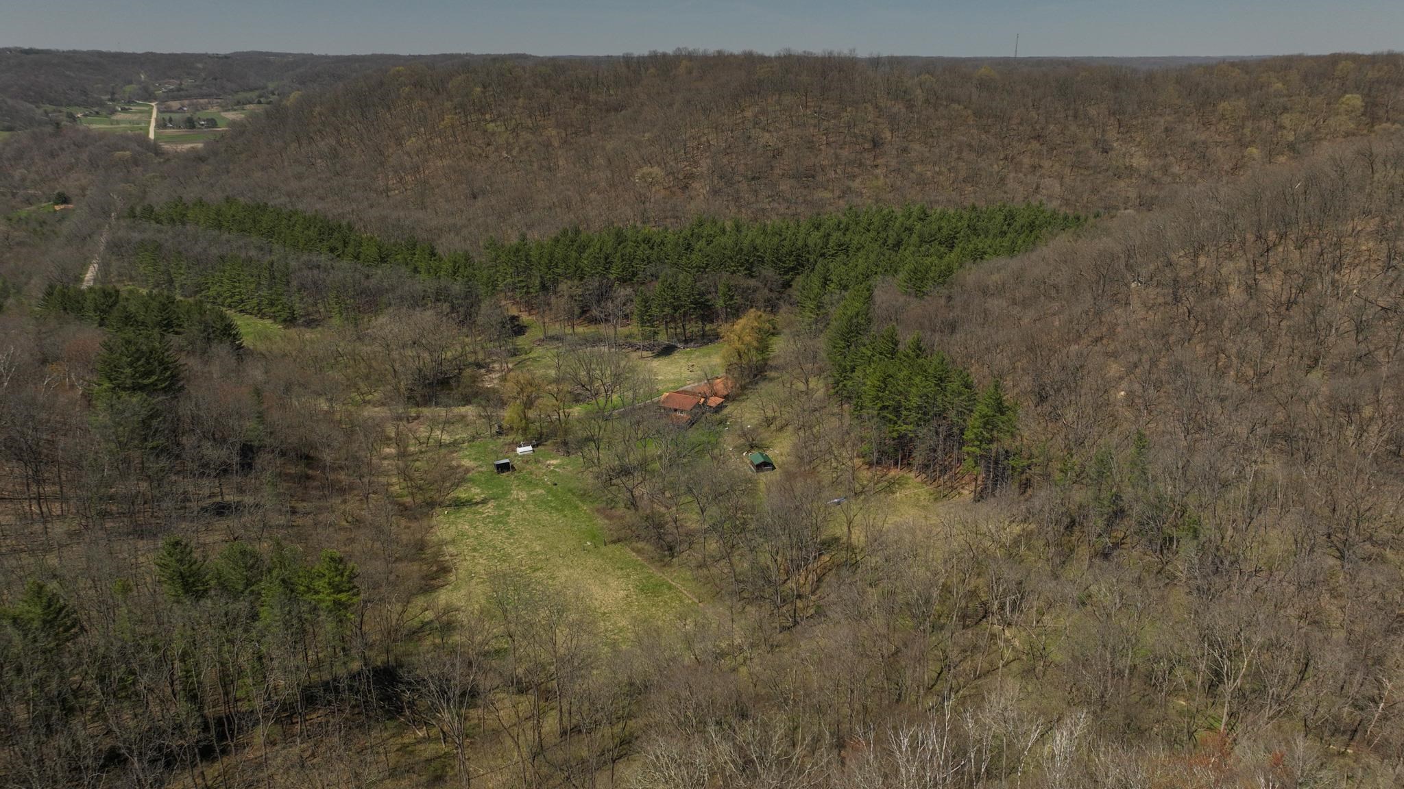 17658 Forest Muscoda, WI 53573 - Photo 4 of 50