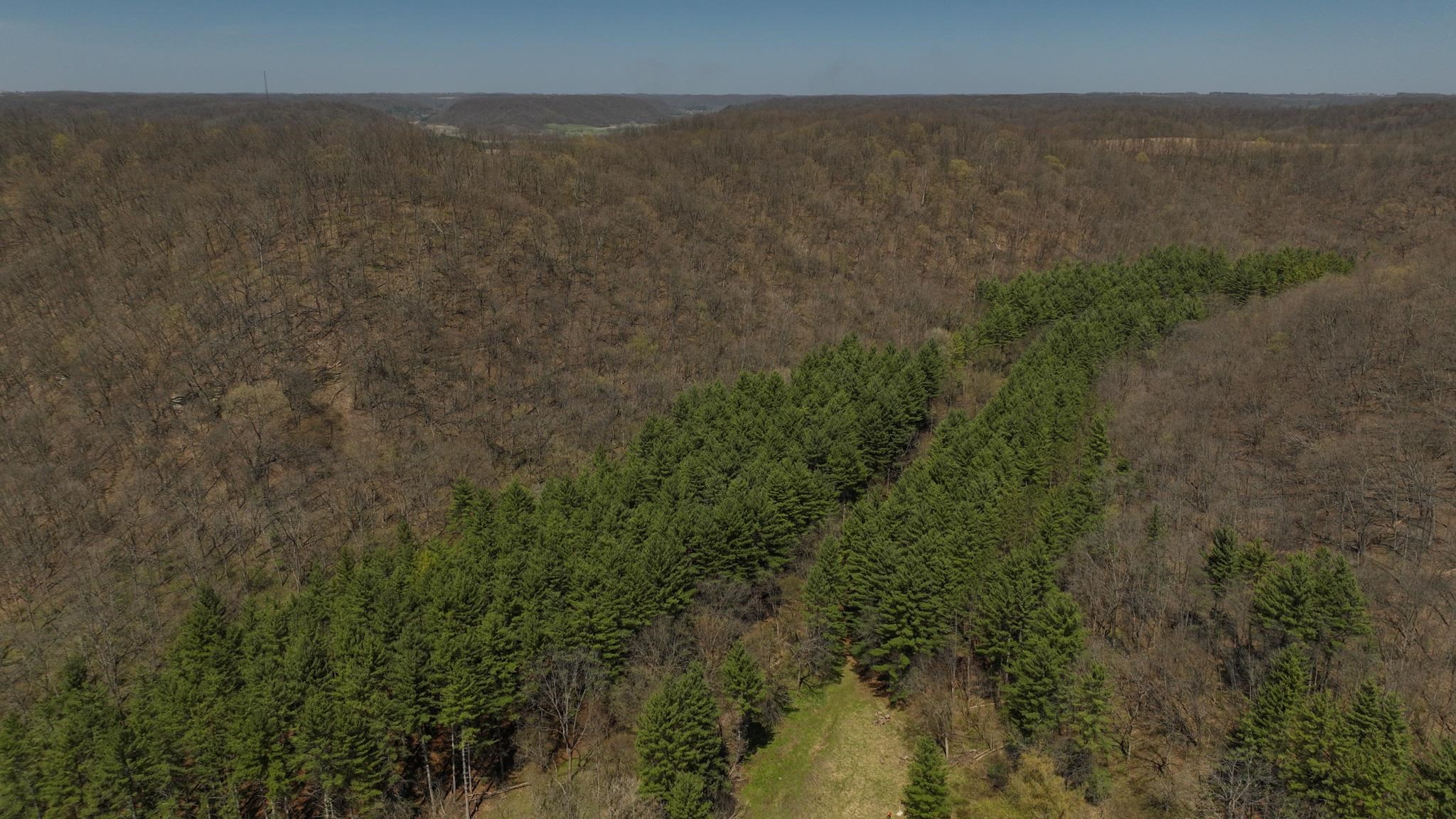 17658 Forest Muscoda, WI 53573 - Photo 42 of 50