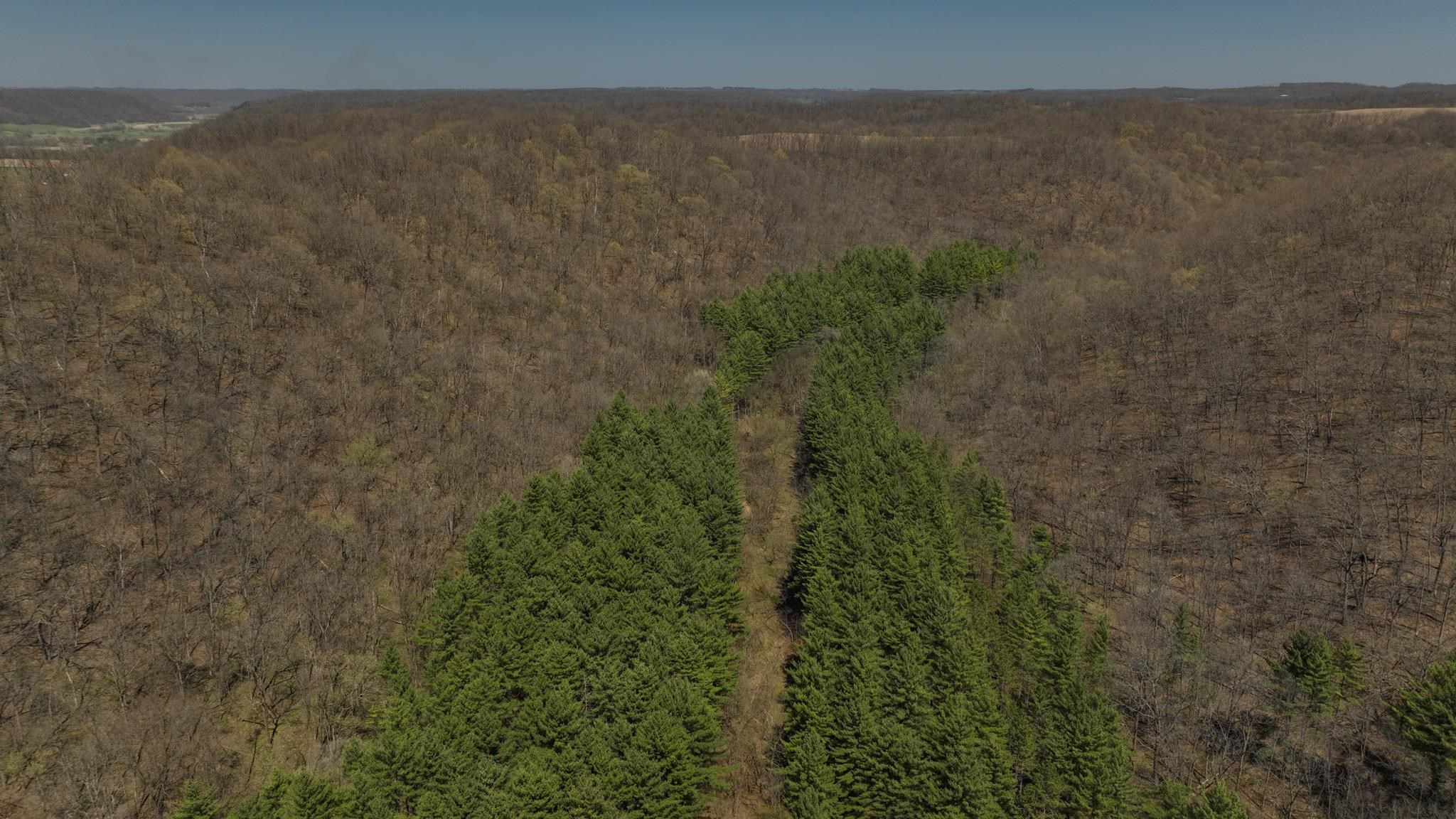 17658 Forest Muscoda, WI 53573 - Photo 43 of 50