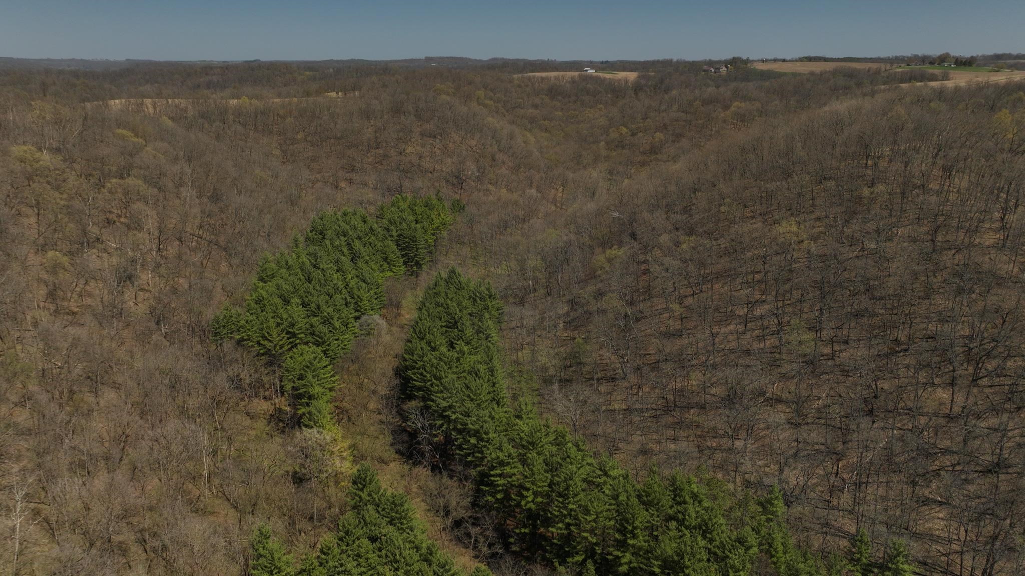 17658 Forest Muscoda, WI 53573 - Photo 45 of 50