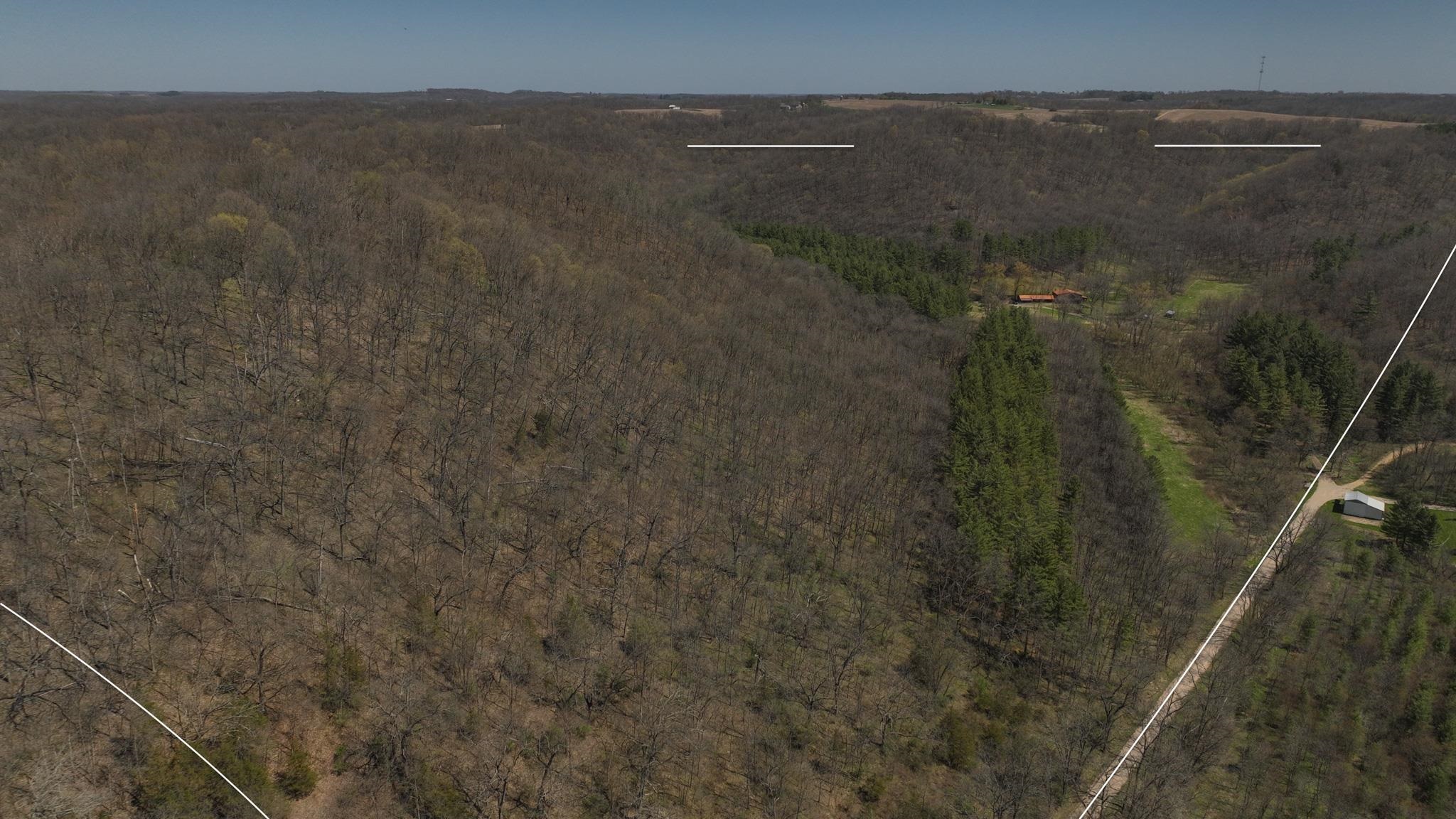 17658 Forest Muscoda, WI 53573 - Photo 46 of 50