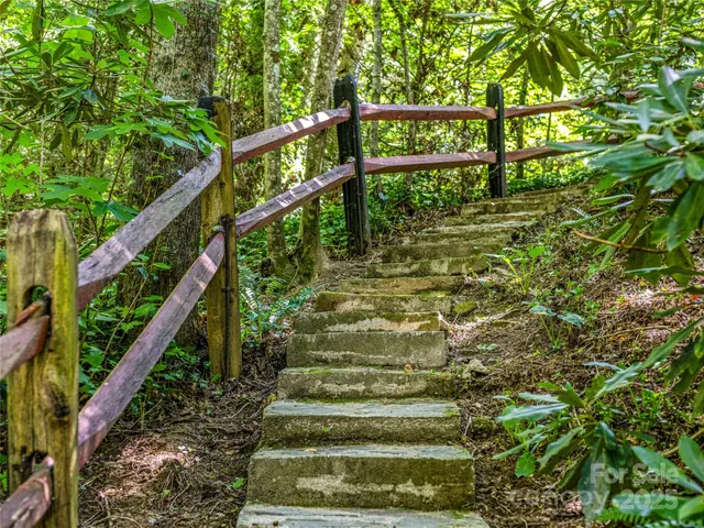 a view of a fan in a garden
