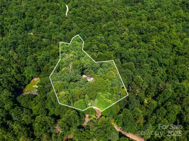 $720,000 | 247 Big Raven Lane, Saluda, NC 28773