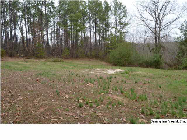 110 County Road 392 Cullman, AL 35057 - Photo 19 of 21