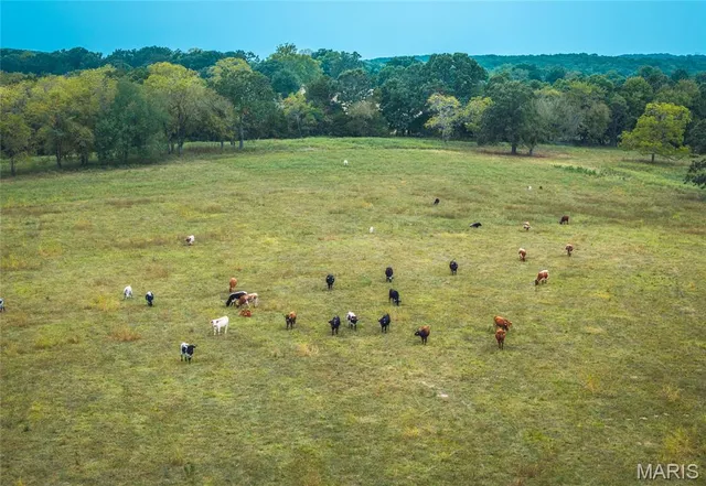 $850,000 | 25675 Highway N Lebanon Mo 65536, Lebanon, MO 65536