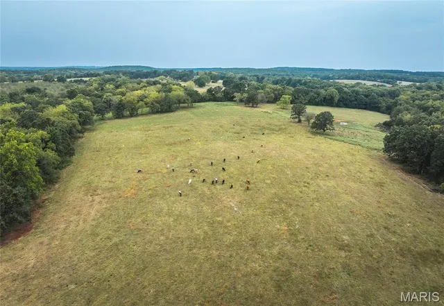 $850,000 | 25675 Highway N Lebanon Mo 65536, Lebanon, MO 65536