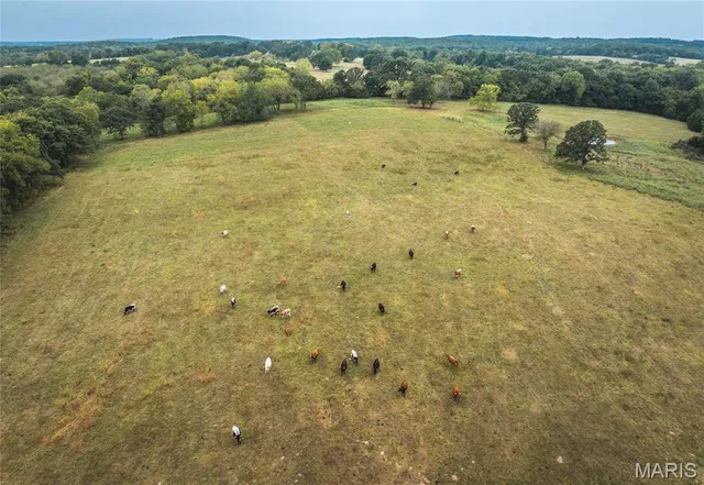 $850,000 | 25675 Highway N Lebanon Mo 65536, Lebanon, MO 65536