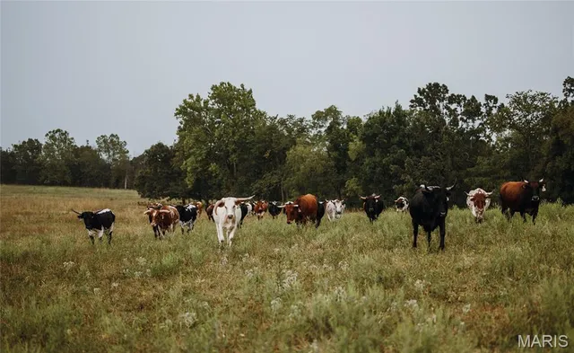 $850,000 | 25675 Highway N Lebanon Mo 65536, Lebanon, MO 65536