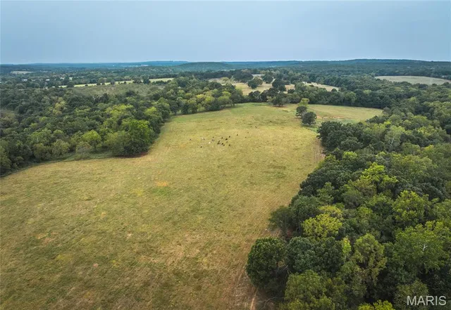 $850,000 | 25675 Highway N Lebanon Mo 65536, Lebanon, MO 65536