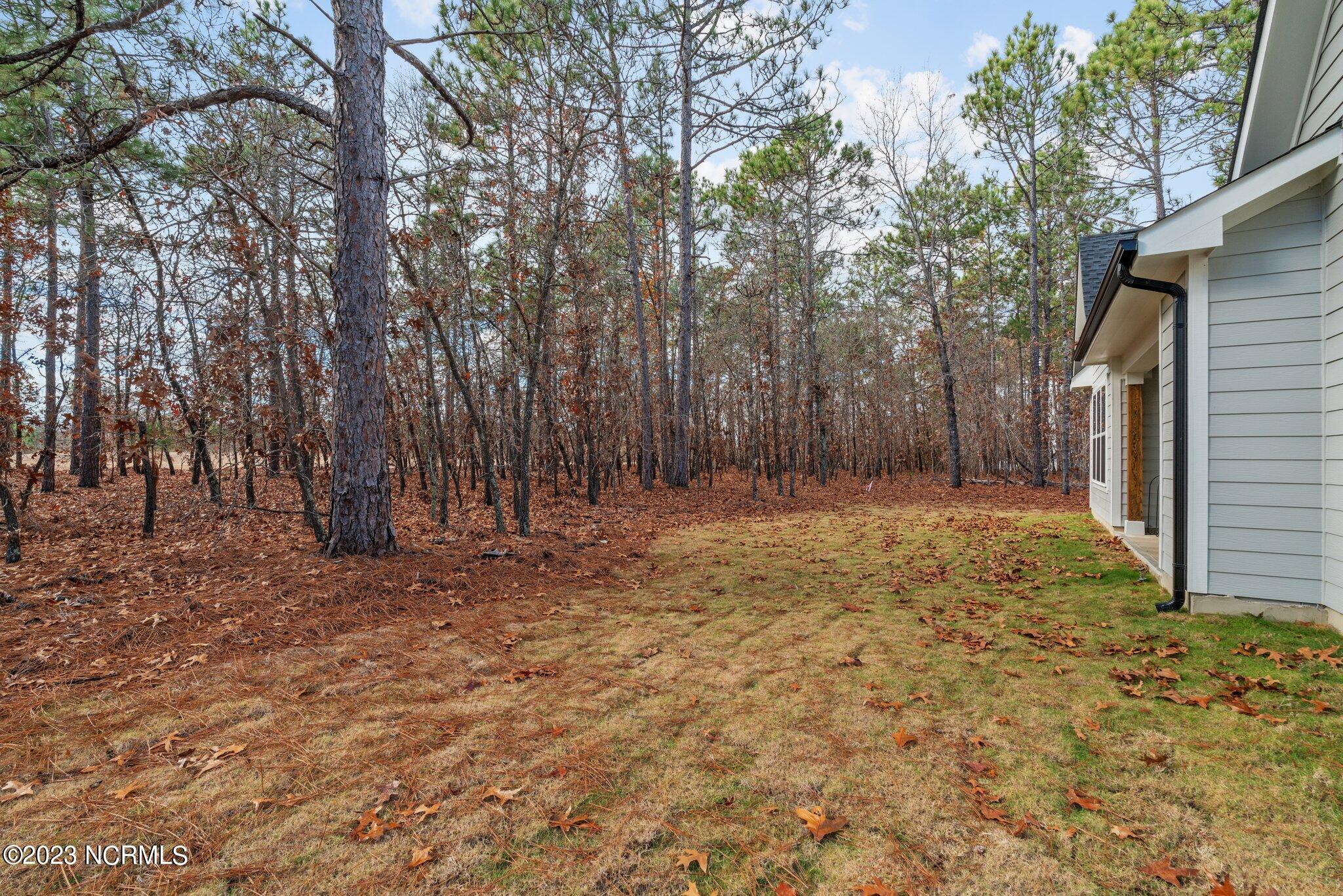 711 Bald Eagle Drive Vass, NC 28394 - Photo 40 of 77 40-web-or-mls-DSC05434