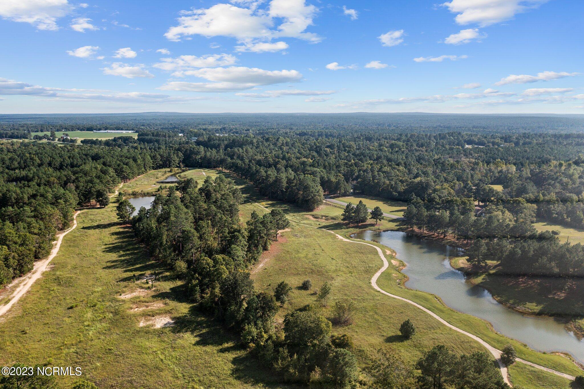 711 Bald Eagle Drive Vass, NC 28394 - Photo 66 of 77 7-web-or-mls-DJI_0846