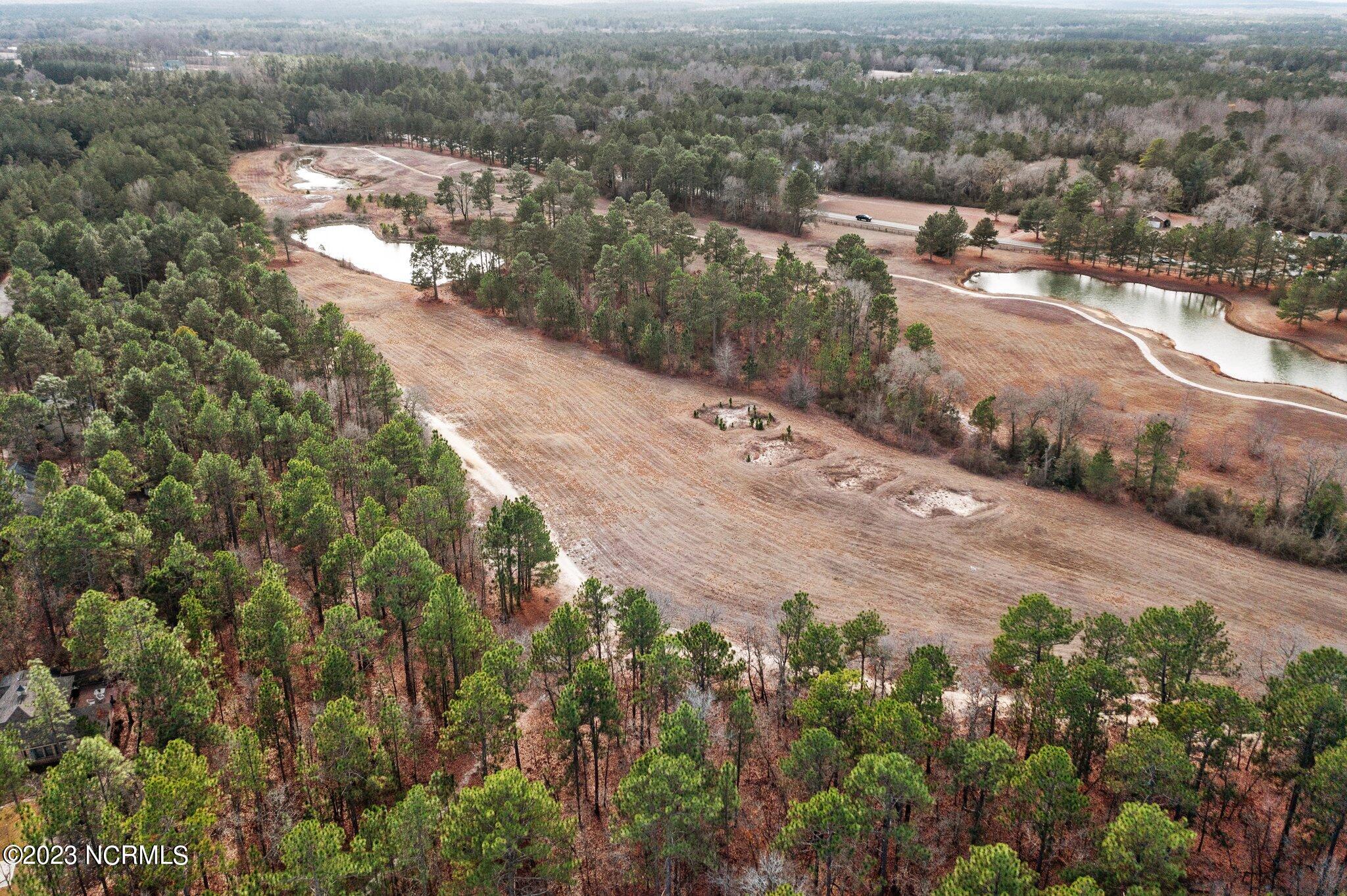711 Bald Eagle Drive Vass, NC 28394 - Photo 75 of 77 4-web-or-mls-DJI_0556