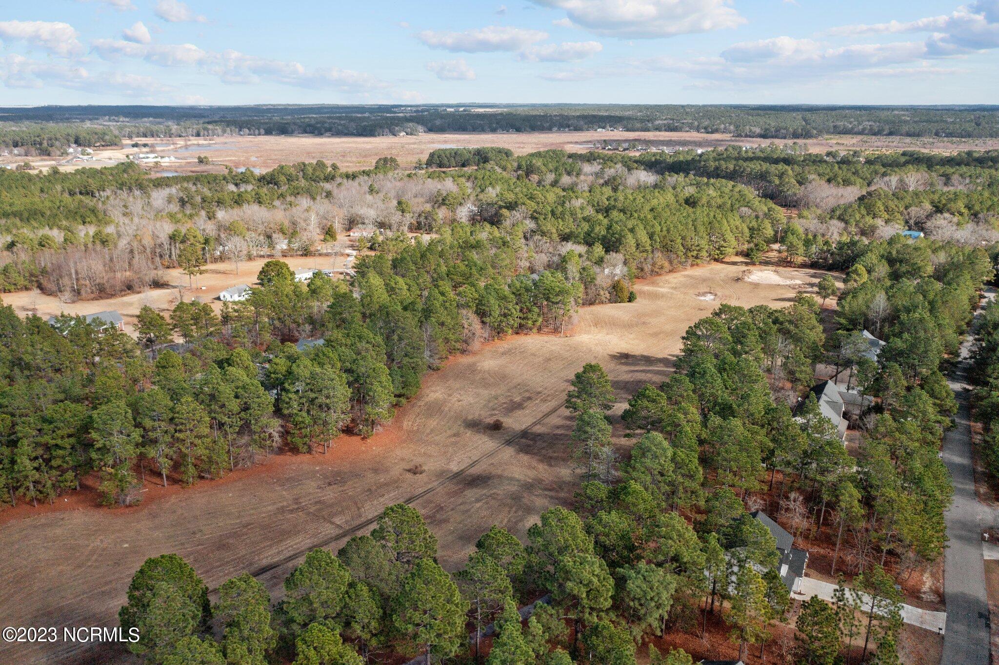 711 Bald Eagle Drive Vass, NC 28394 - Photo 77 of 77 6-web-or-mls-DJI_0558