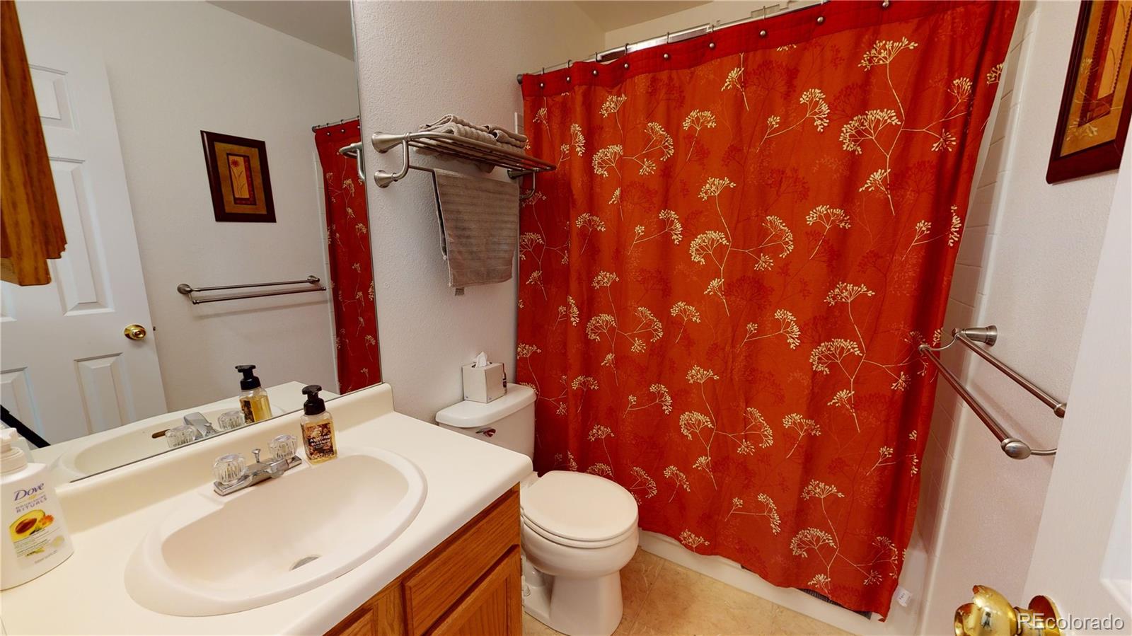 10482 Hyacinth Street Highlands Ranch, CO 80129 - Photo 24 of 40 a bathroom with a sink and mirror with toilet