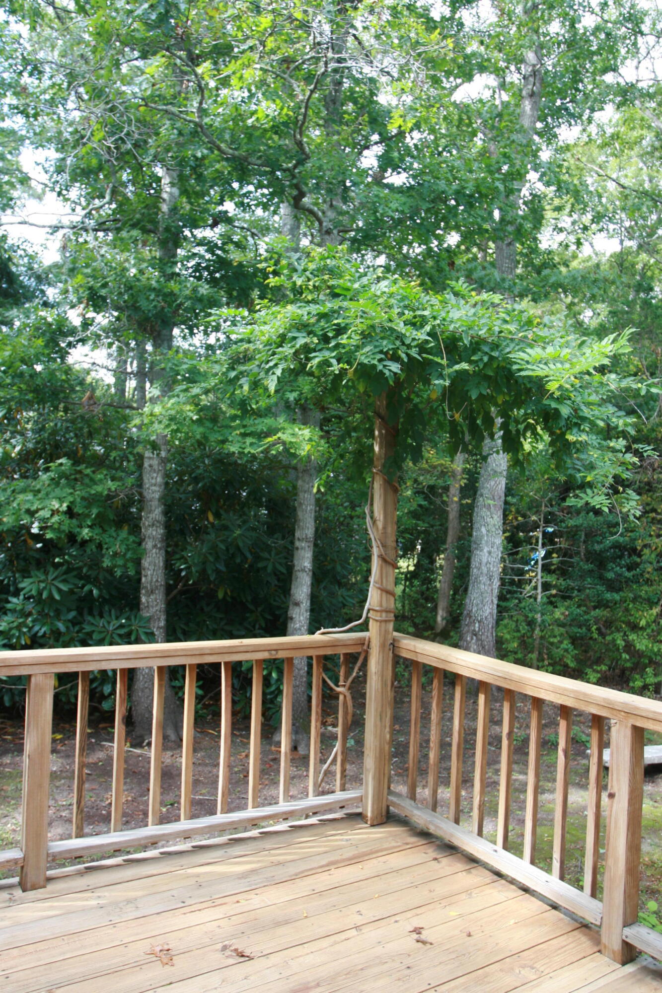 19 Oriole Lane Marstons Mills, MA 02648 - Photo 38 of 50 Deck