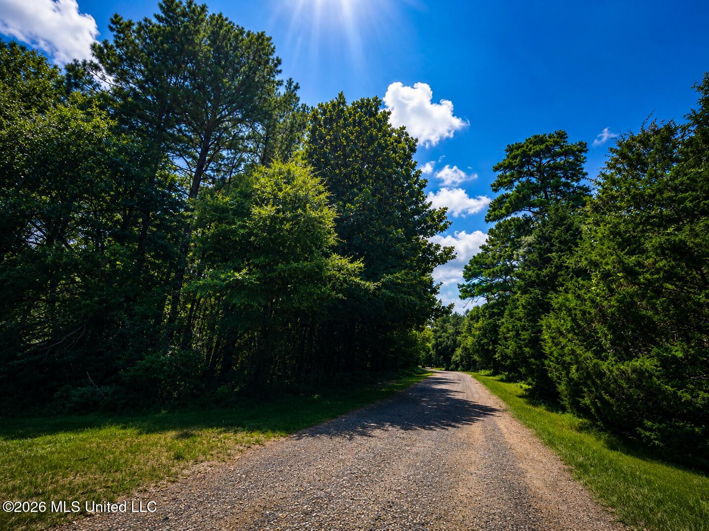 Shelton Cedar Road Moselle, MS 39459 - Photo 1 of 3 0C65A297-73CA-4804-BD88-918EF09345A6