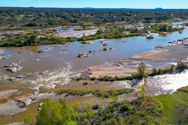a view of a forest with lots of trees