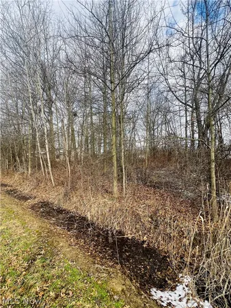 $24,900 | Lot 115 Breezewood Lane, Orwell, OH 44076