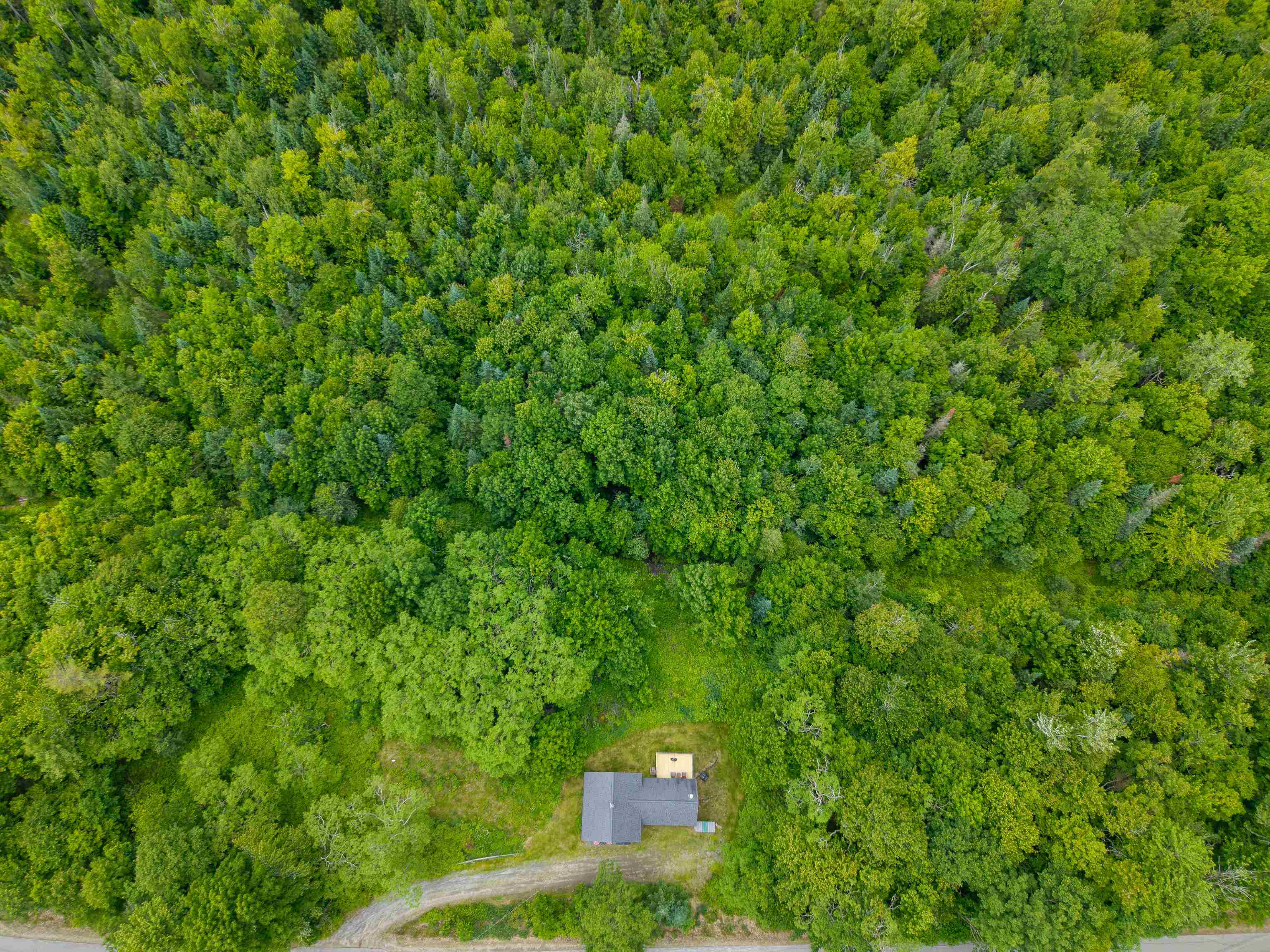 391 Bradley Hill Road Bath, NH 03740 - Photo 56 of 57