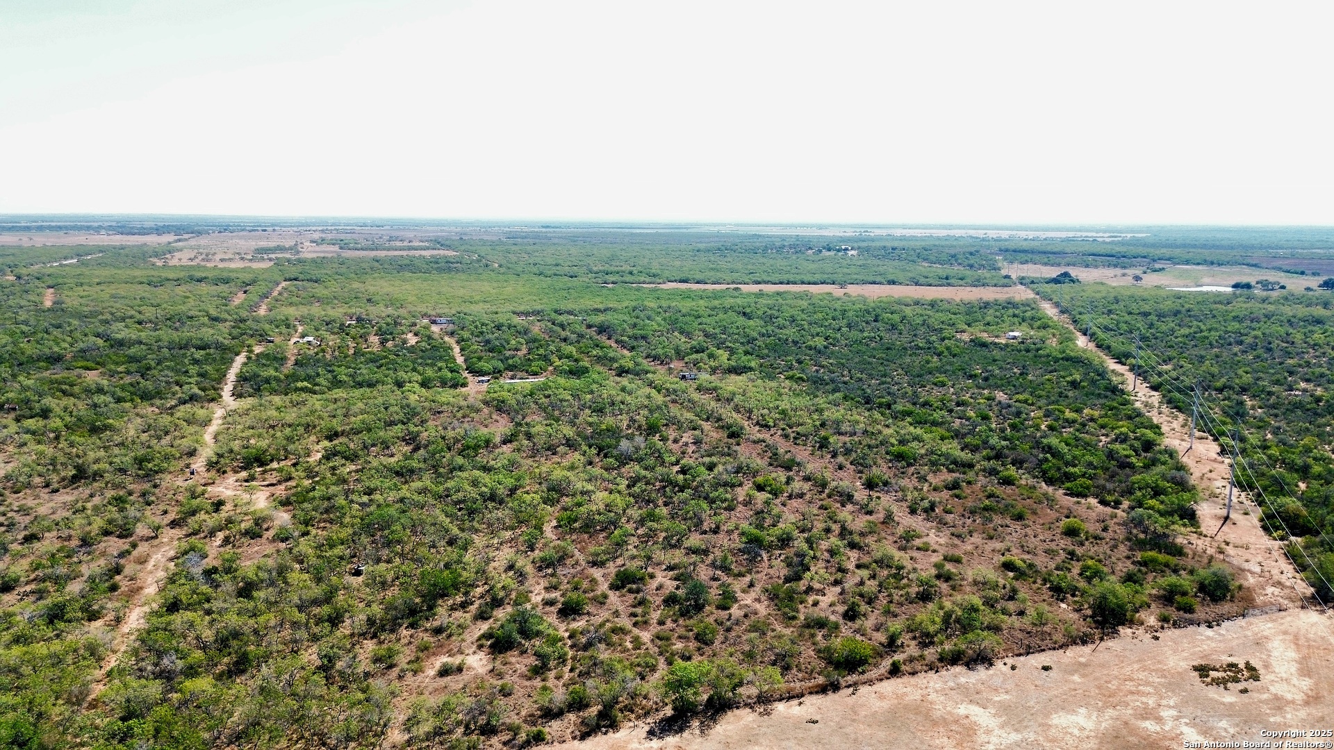 7365 Leal Road Pleasanton, TX 78064 - Photo 4 of 6 an aerial view of forest