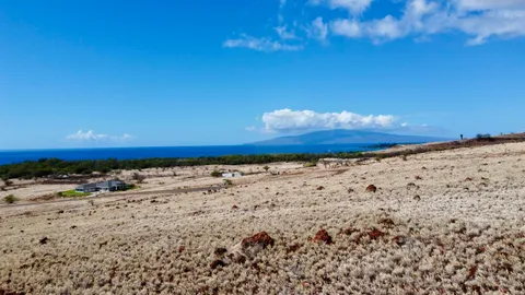 a view of a beach with a yard