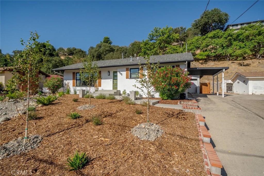 905 Olive Street Paso Robles, CA 93446 - Photo 57 of 61 a front view of a house with a yard and potted plants