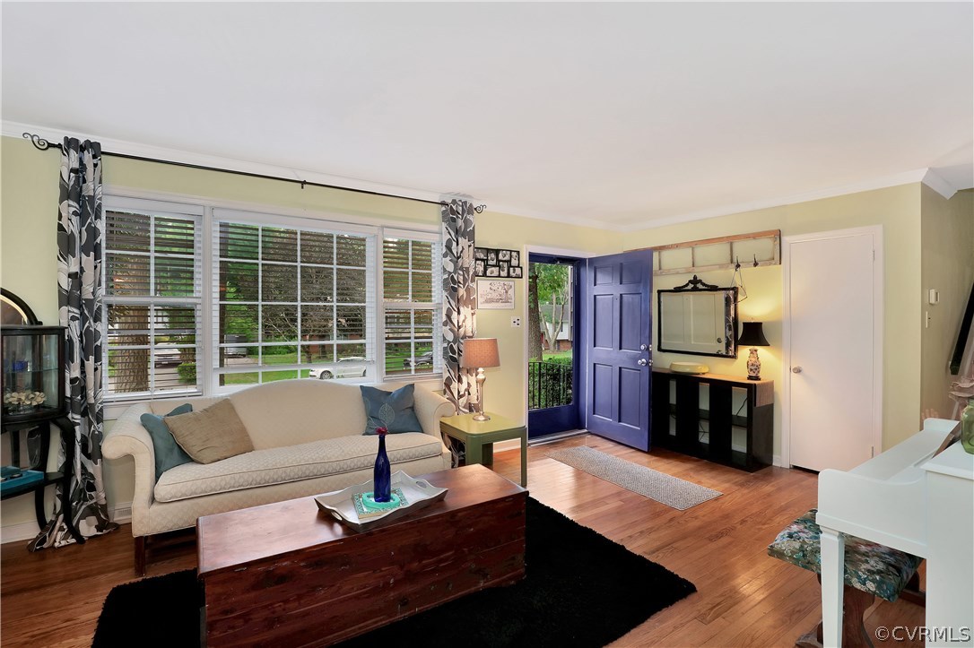 Gallery Image 7