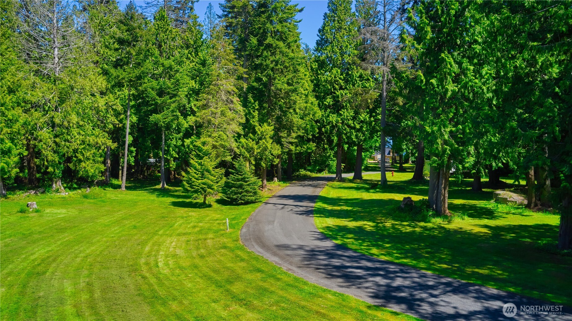 412 High Bluff Dr Point Point Roberts, WA 98281 - Photo 13 of 29 a view of a park with a tree in the background