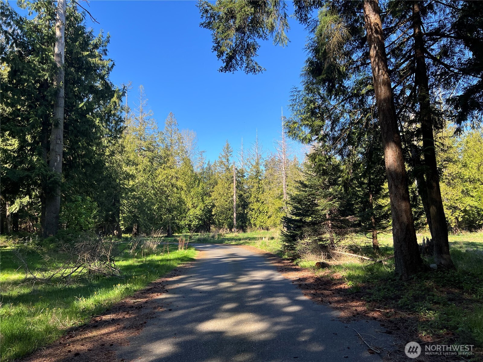 412 High Bluff Dr Point Point Roberts, WA 98281 - Photo 22 of 29 a view of a yard with a tree
