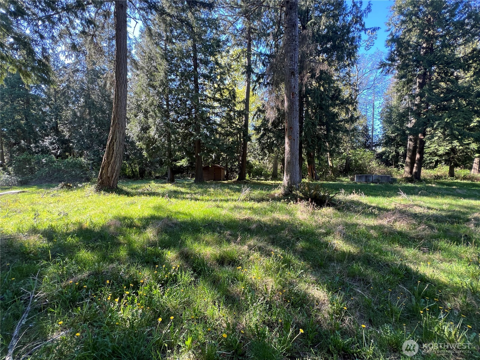 412 High Bluff Dr Point Point Roberts, WA 98281 - Photo 24 of 29 a view of outdoor space with a garden and trees