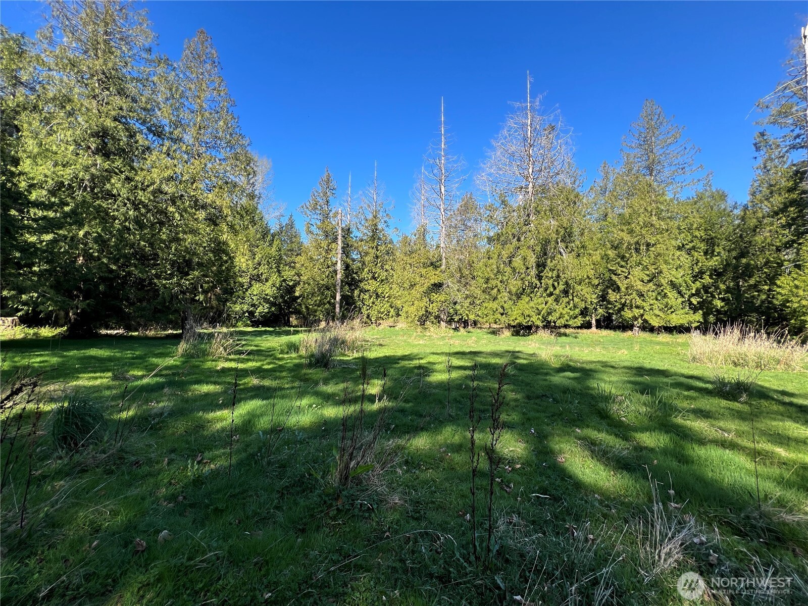 412 High Bluff Dr Point Point Roberts, WA 98281 - Photo 25 of 29 a view of a grassy field with trees