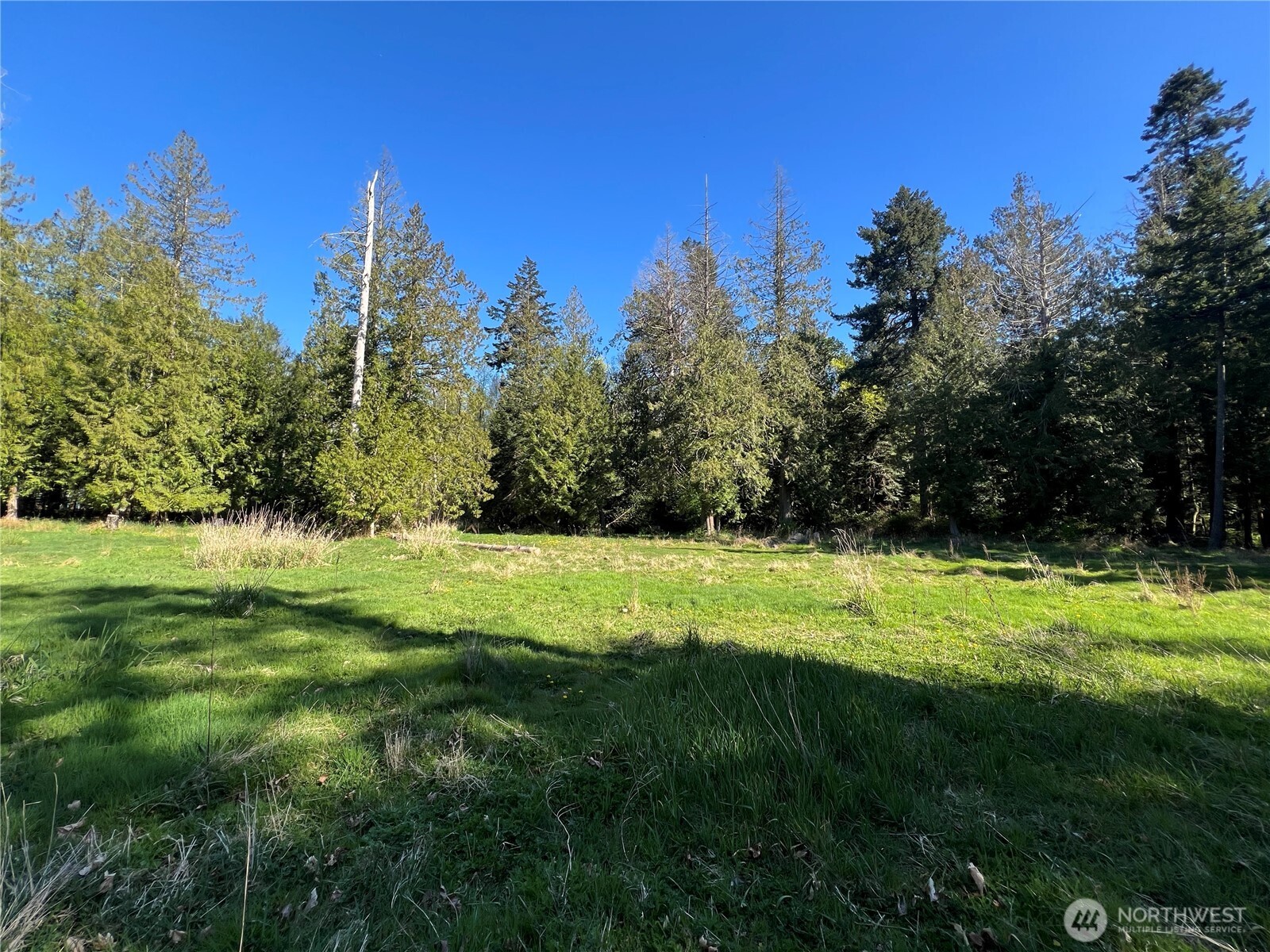 412 High Bluff Dr Point Point Roberts, WA 98281 - Photo 26 of 29 a view of a field with a tree in the background