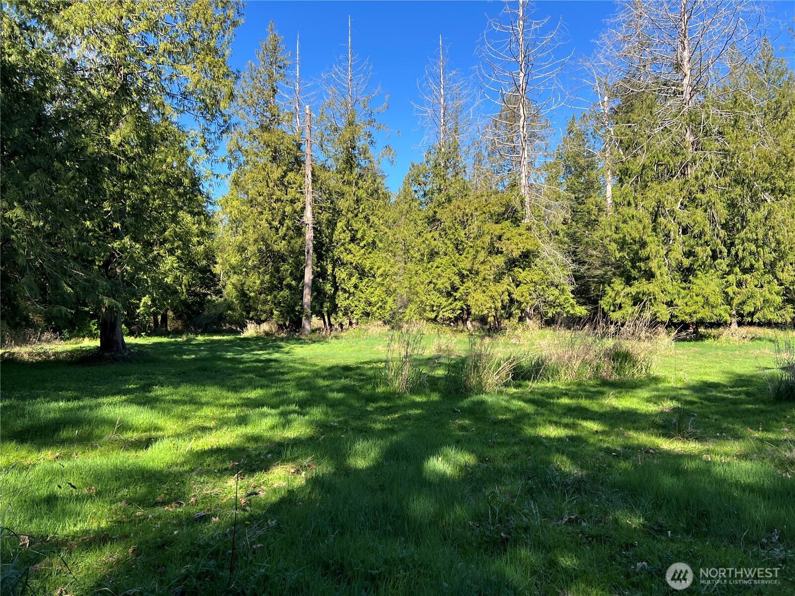 412 High Bluff Dr Point Point Roberts, WA 98281 - Photo 28 of 29 a view of a garden
