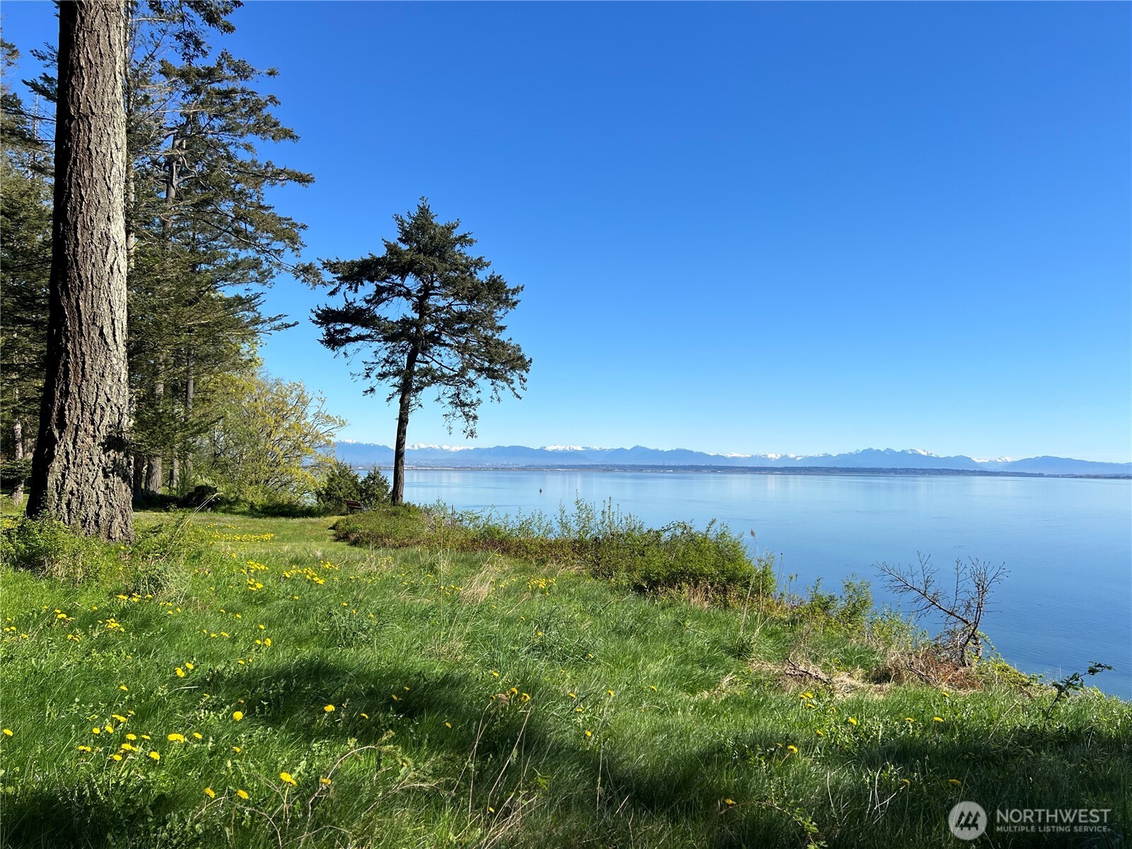412 High Bluff Dr Point Point Roberts, WA 98281 - Photo 3 of 29 a view of a lake with a garden