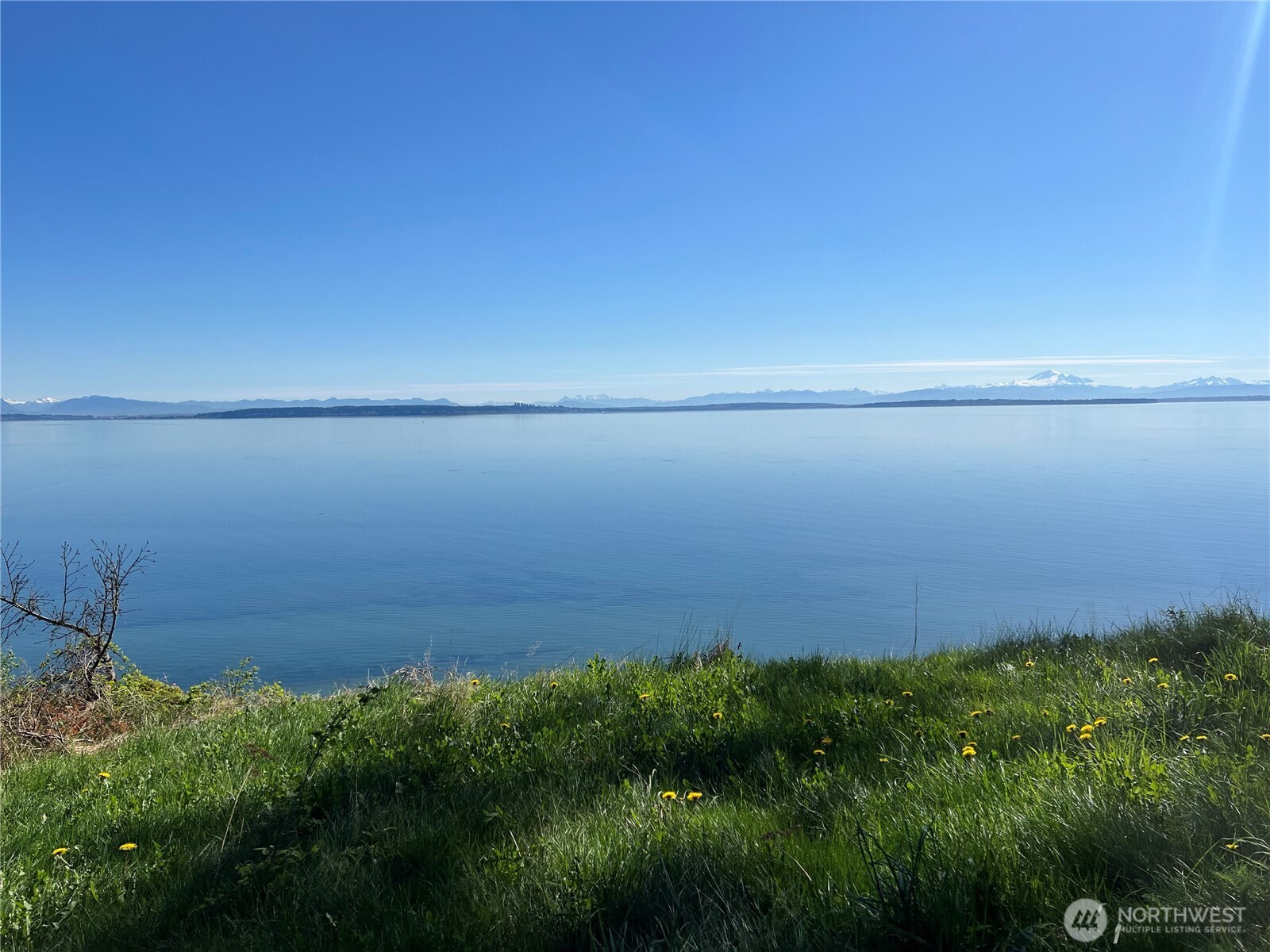 412 High Bluff Dr Point Point Roberts, WA 98281 - Photo 7 of 29 a view of a green field
