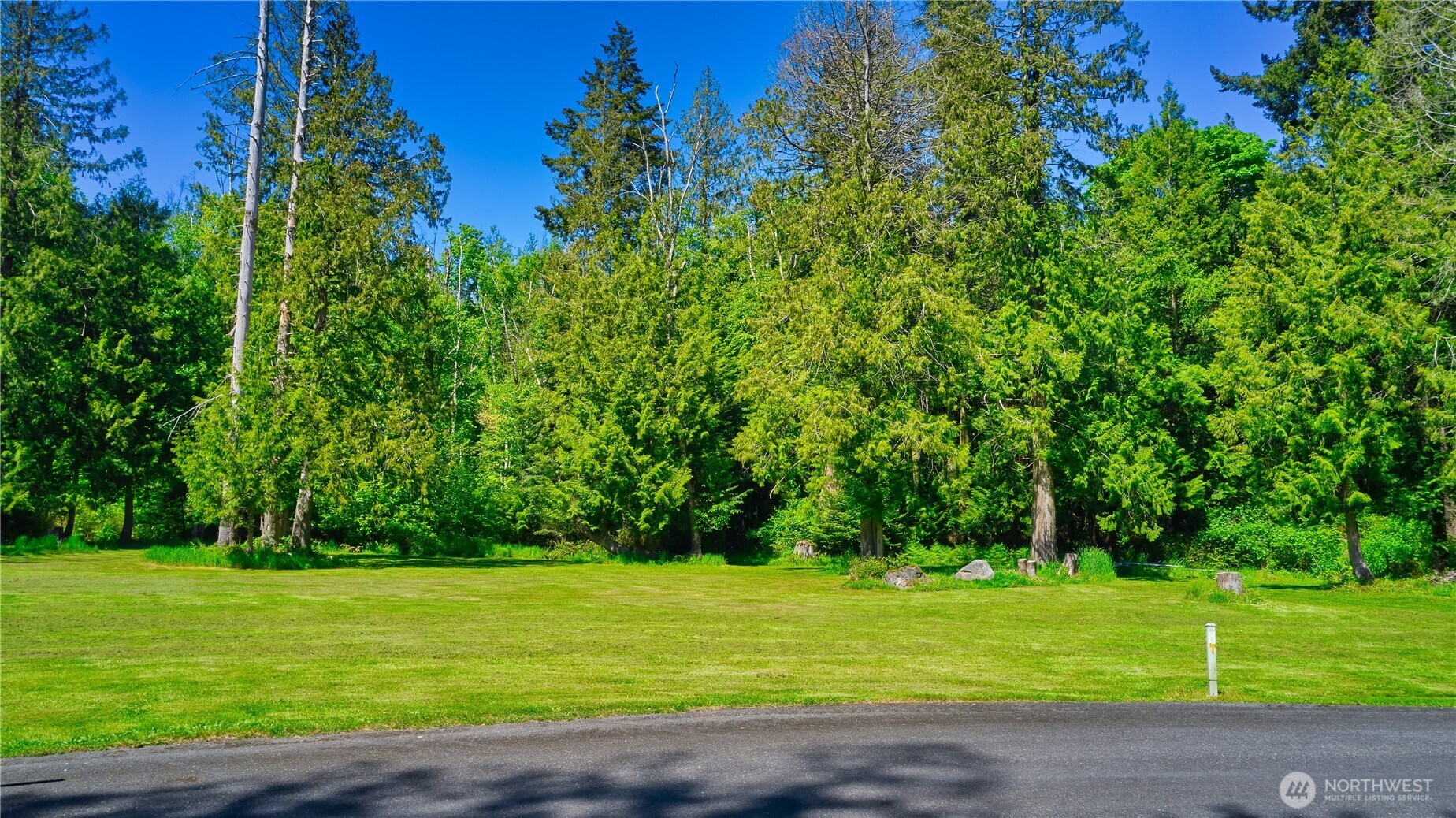 412 High Bluff Dr Point Point Roberts, WA 98281 - Photo 9 of 29 a view of a golf course with a trees