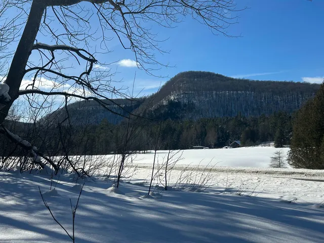 $150,000 | 9 Dry Pond Road, Glover, VT 05839