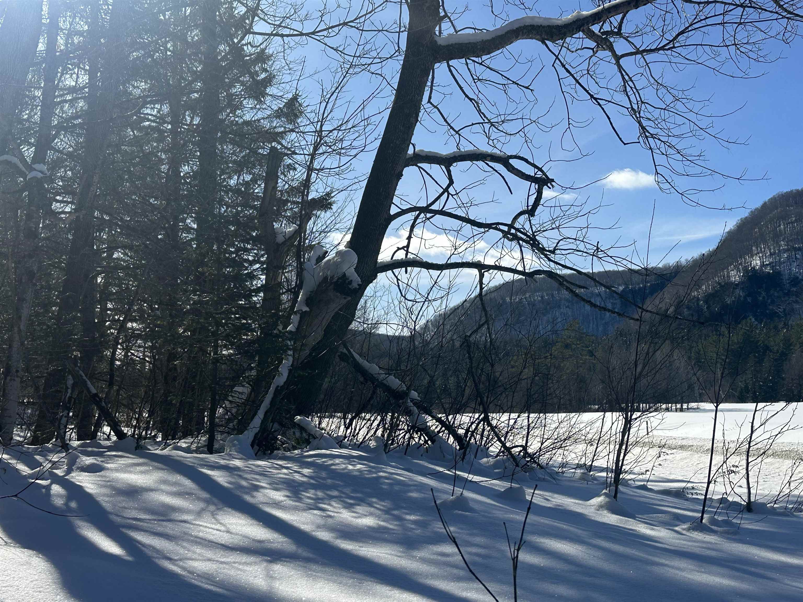 9 Dry Pond Road Glover, VT 05839 - Photo 19 of 19