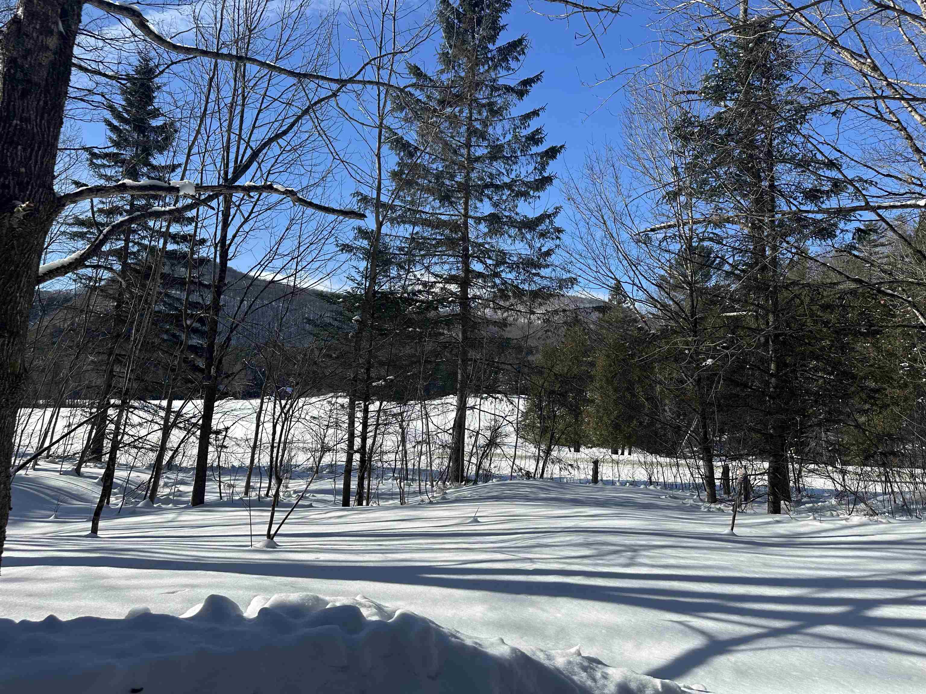 9 Dry Pond Road Glover, VT 05839 - Photo 3 of 19