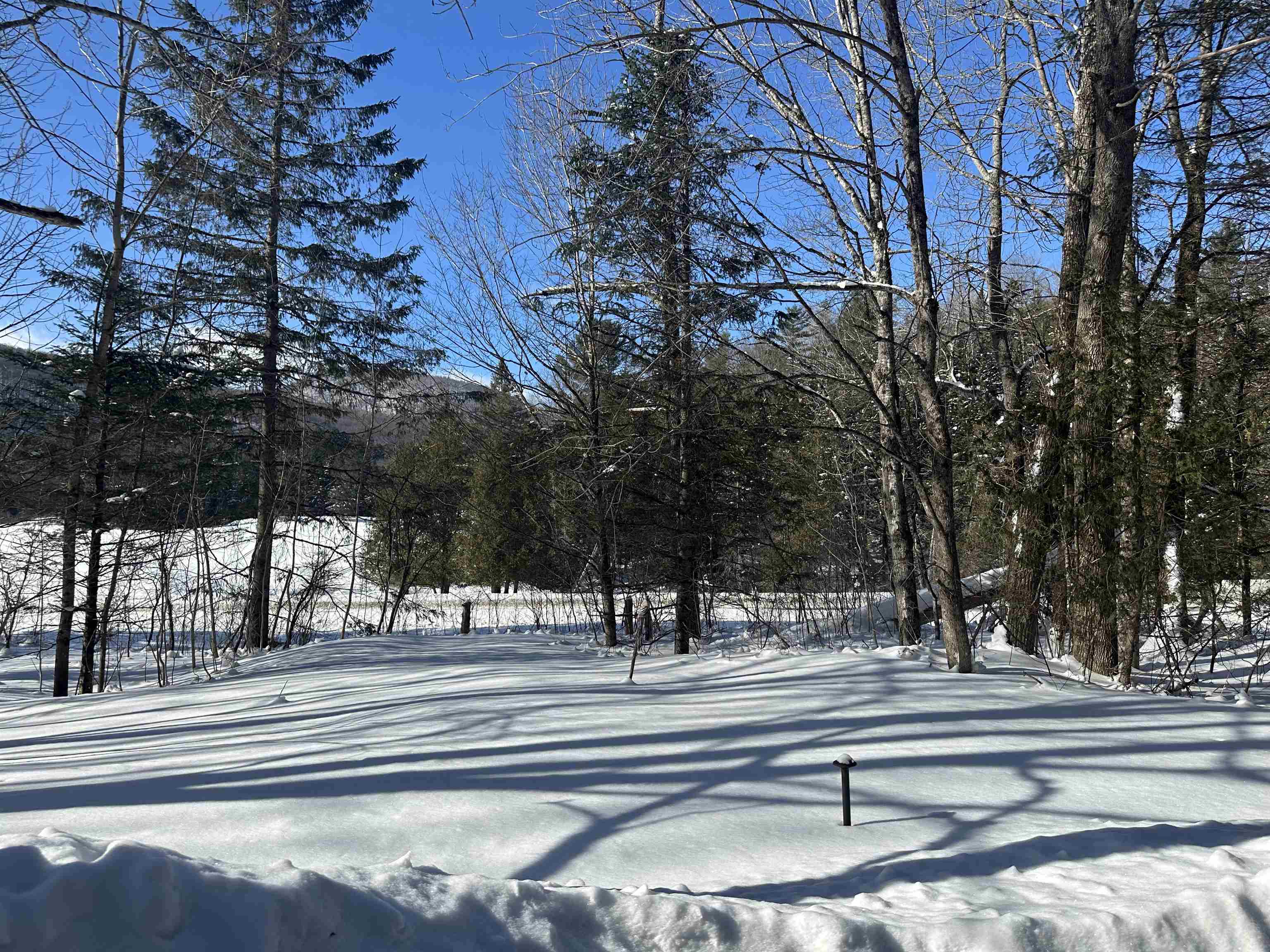 9 Dry Pond Road Glover, VT 05839 - Photo 4 of 19