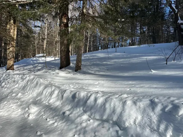 $150,000 | 9 Dry Pond Road, Glover, VT 05839