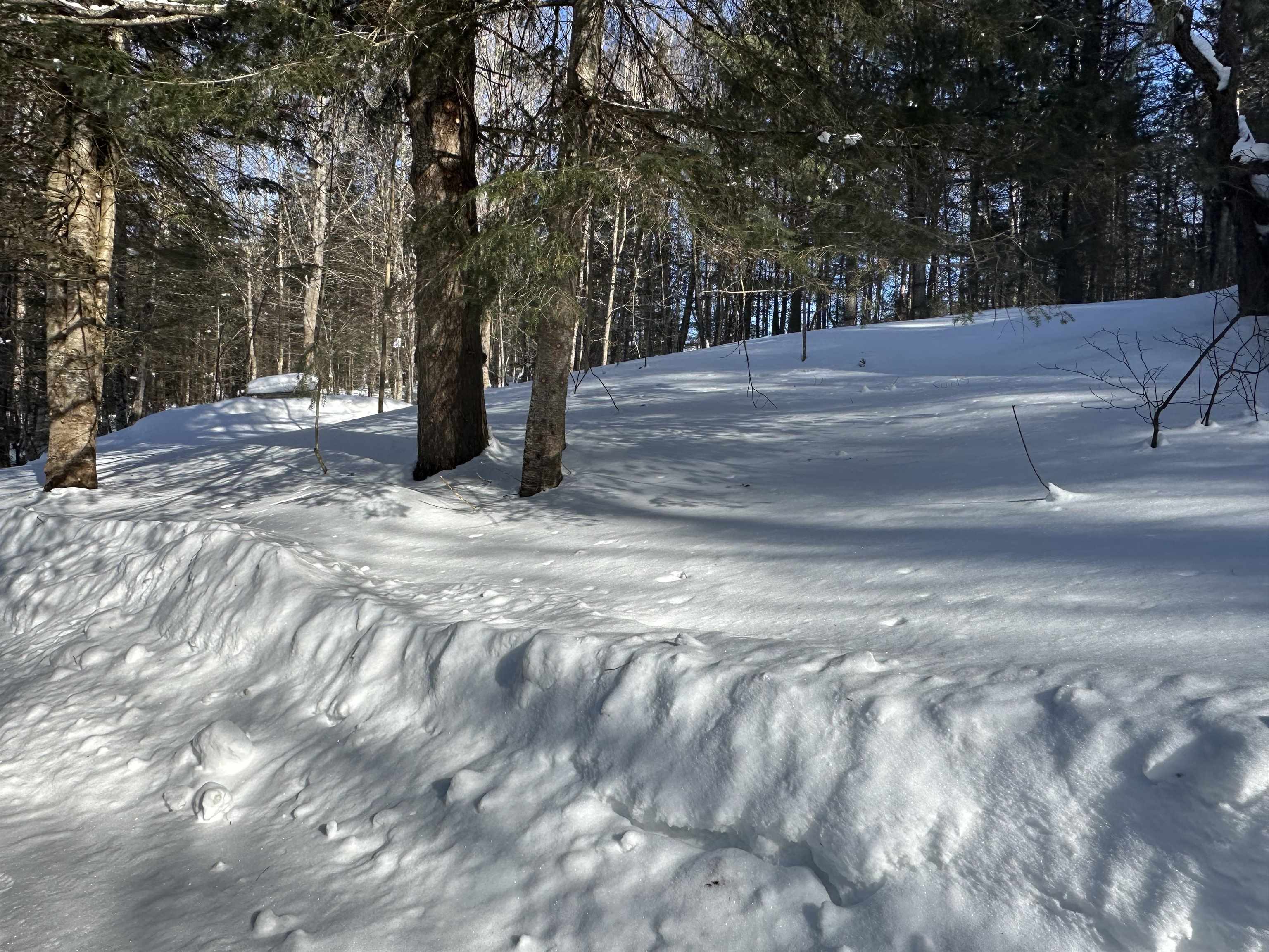 9 Dry Pond Road Glover, VT 05839 - Photo 5 of 19