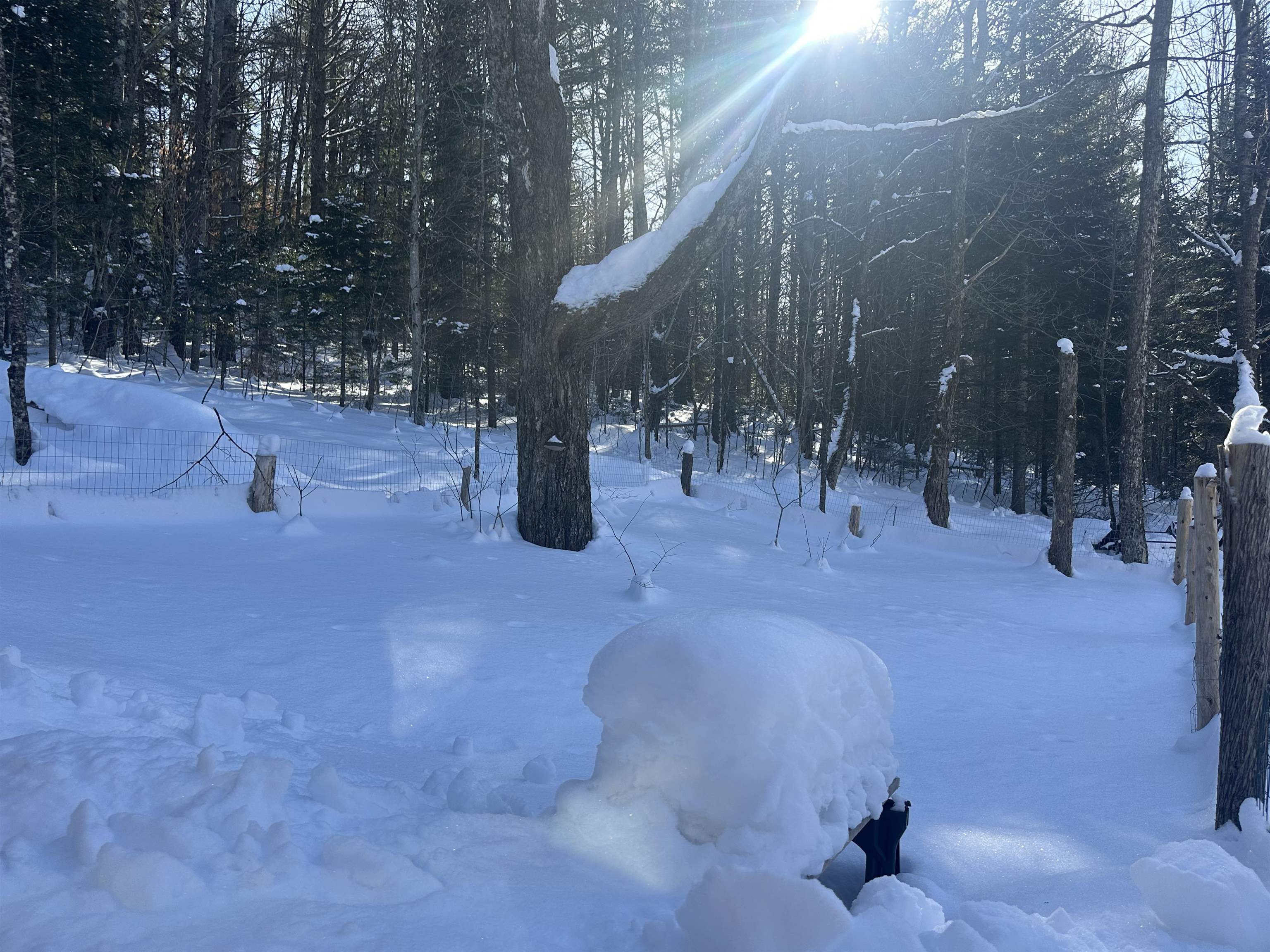 9 Dry Pond Road Glover, VT 05839 - Photo 8 of 19