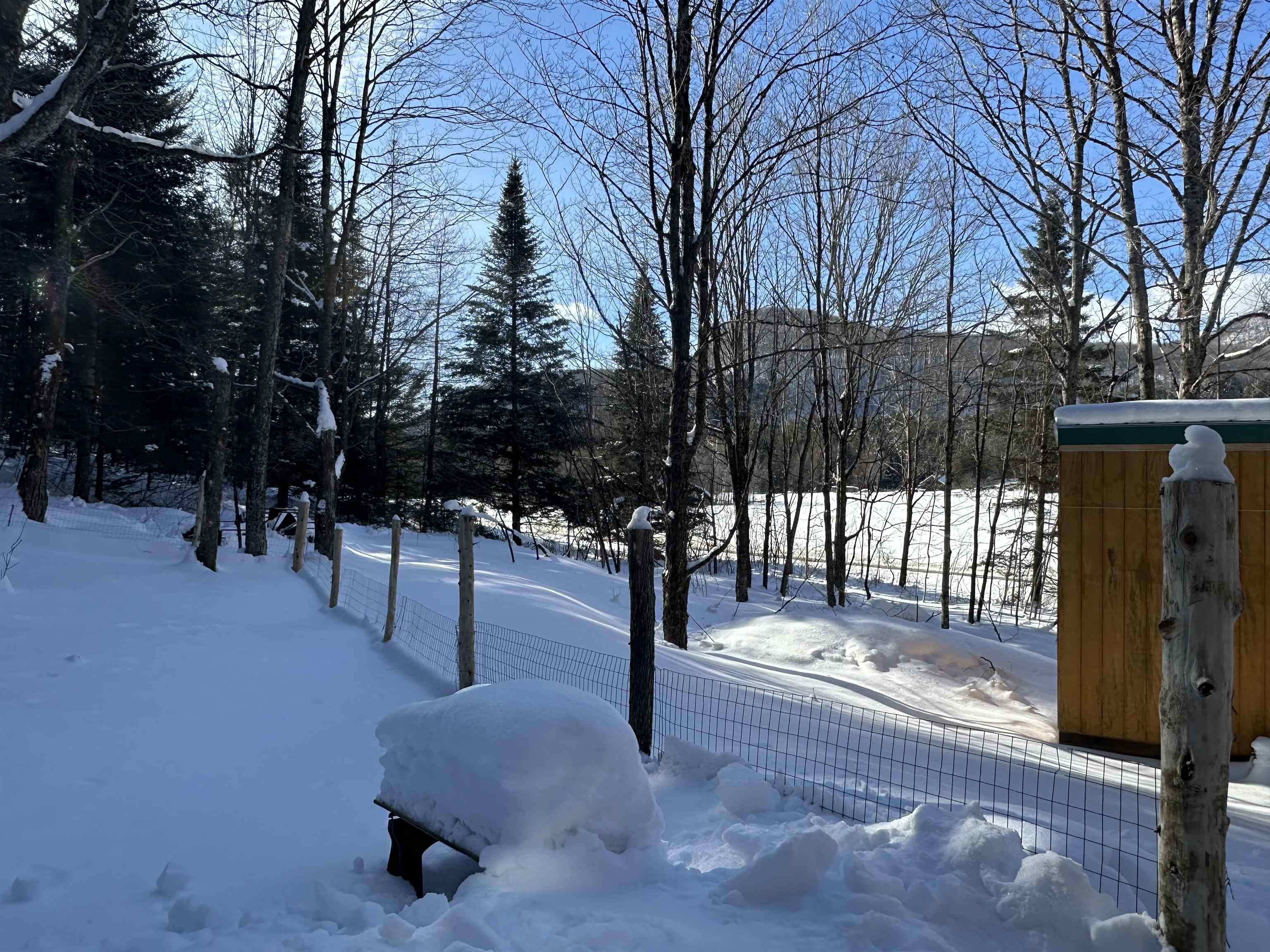 9 Dry Pond Road Glover, VT 05839 - Photo 9 of 19